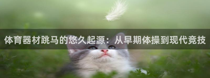 极悦娱乐的创始人背景故事介绍：体育器材跳马的悠久起源