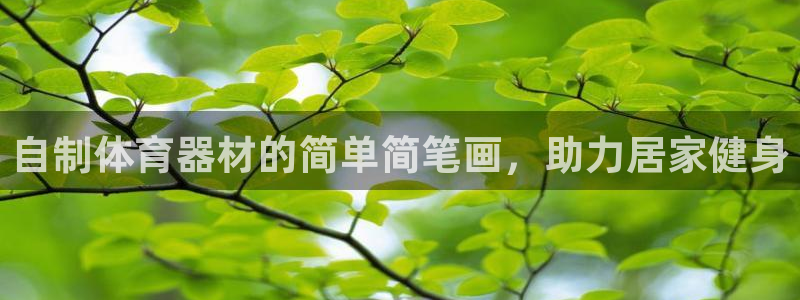 极悦平台注册登录：自制体育器材的简单简笔画，助力居家