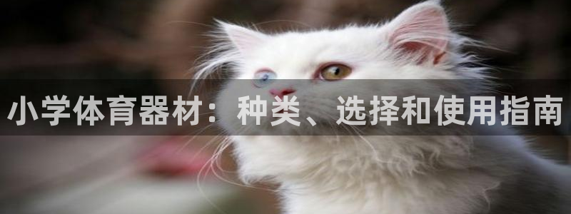 极悦官方网站入口：小学体育器材：种类、选择和使用指南