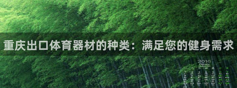 极悦生活家是什么平台：重庆出口体育器材的种类：满足您