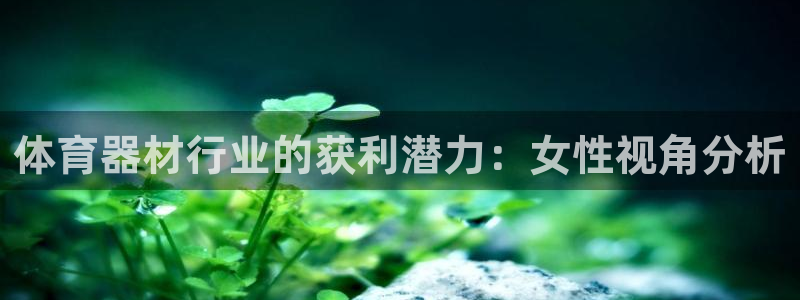 极悦平台注册申请流程详解：体育器材行业的获利潜力：女