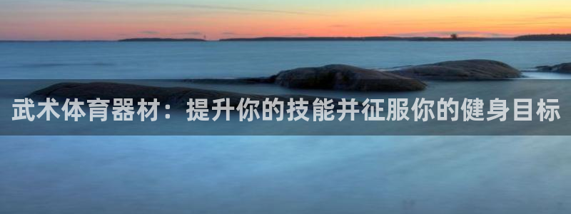 极悦平台股东是谁：武术体育器材：提升你的技能并征服你