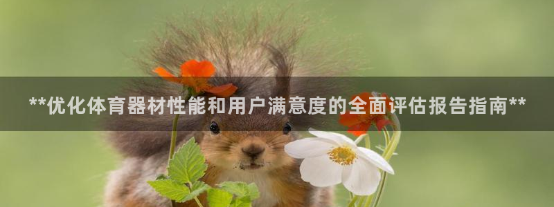 极悦平台使用注意事项：**优化体育器材性能和用户满意