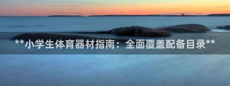 极悦官网首页：**小学生体育器材指南：全面覆盖配备目