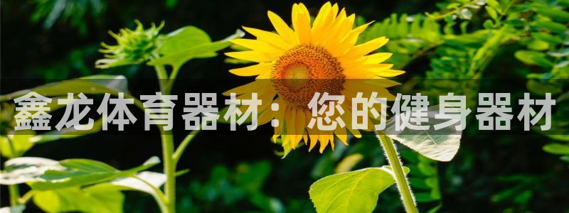 极悦平台登录方式：鑫龙体育器材：您的健身器材