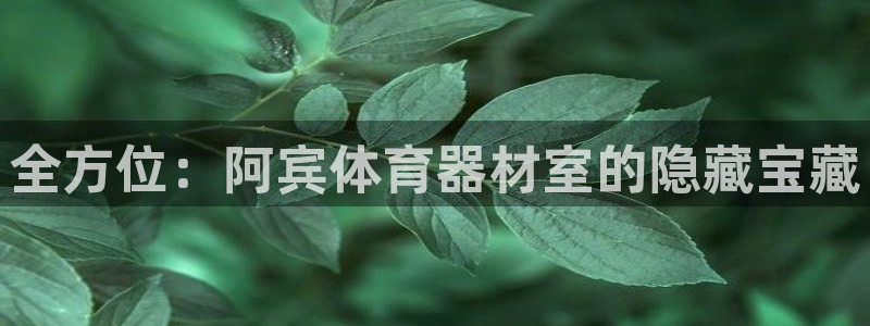 极悦平台创始人背景故事是什么：全方位：阿宾体育器材室