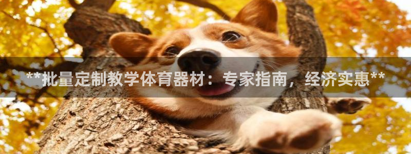 极悦娱乐会被骗吗是真的吗：**批量定制教学体育器材：