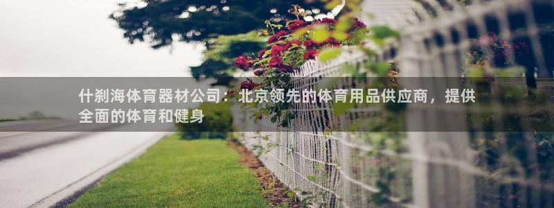 极悦娱乐官方网站首页：什刹海体育器材公司：北京领先的