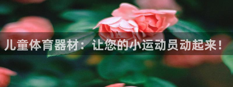 加盟极悦教育多少钱：儿童体育器材：让您的小运动员动起