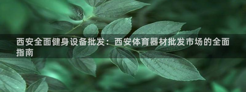极悦平台登录最新版本更新内容是什么：西安全面健身设备