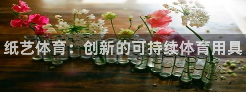 极悦娱乐的创始人背景故事：纸艺体育：创新的可持续体育