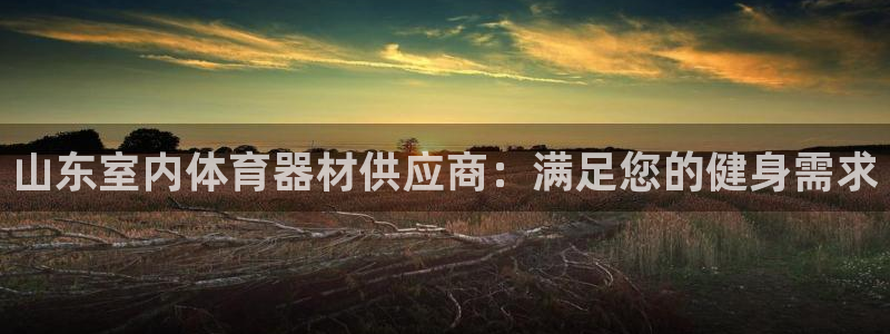 极悦平台注册申请流程详解图：山东室内体育器材供应商：