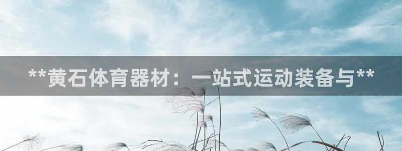 极悦平台代理怎么赚钱的：**黄石体育器材：一站式运动