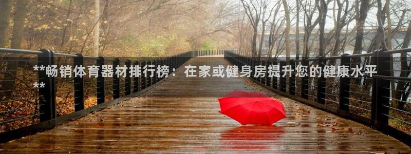 极悦娱乐的背景和历史背景分析：**畅销体育器材排行榜