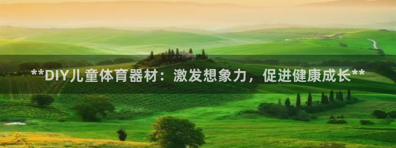 极悦平台有风险吗现在：**DIY儿童体育器材：激发想