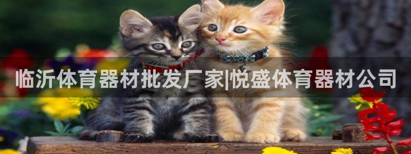 极悦平台的注册流程及注意事项是什么：临沂体育器材批发