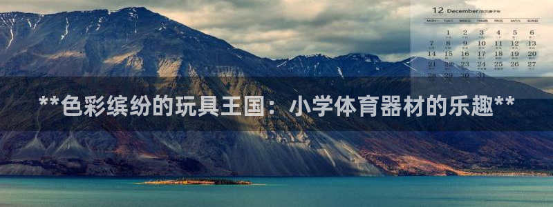 极悦娱乐会被骗吗：**色彩缤纷的玩具王国：小学体育器