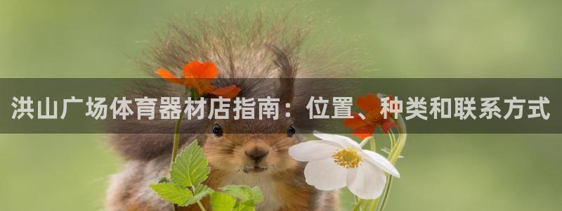 极悦平台注册官方网站下载安装苹果：洪山广场体育器材店