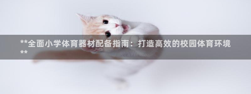 极悦官网旗舰店电话：**全面小学体育器材配备指南：打