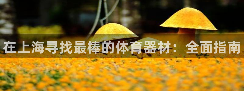 极悦娱乐的最新版本更新内容在哪：在上海寻找最棒的体育