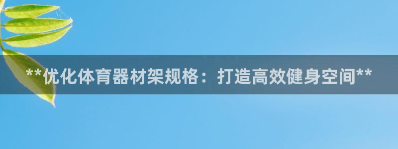 极悦平台官方网址：**优化体育器材架规格：打造高效健