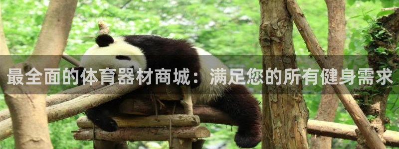 极悦官网的登录方法：最全面的体育器材商城：满足您的所