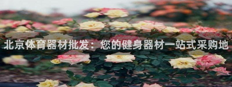 极悦平台官方网站登录网址：北京体育器材批发：您的健身