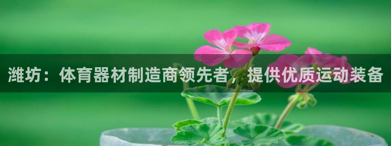 极悦平台和蓝狮平台区别在哪：潍坊：体育器材制造商领先