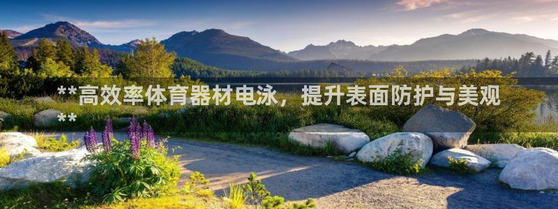 极悦娱乐官网下载app：**高效率体育器材电泳，提升