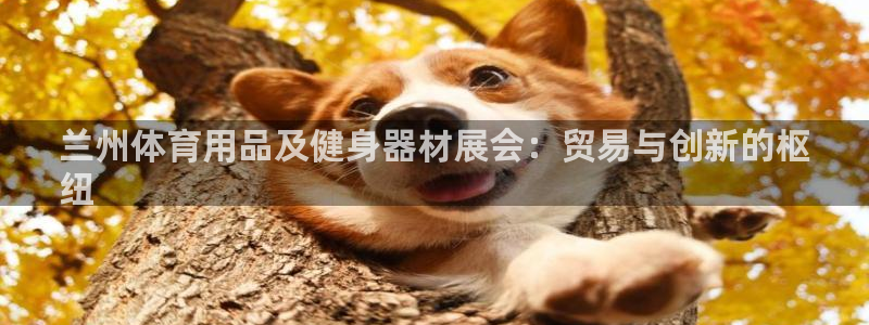 极悦娱乐代理怎么样：兰州体育用品及健身器材展会：贸易