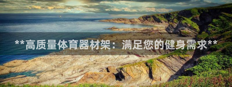 极悦平台注册流程详解：**高质量体育器材架：满足您的