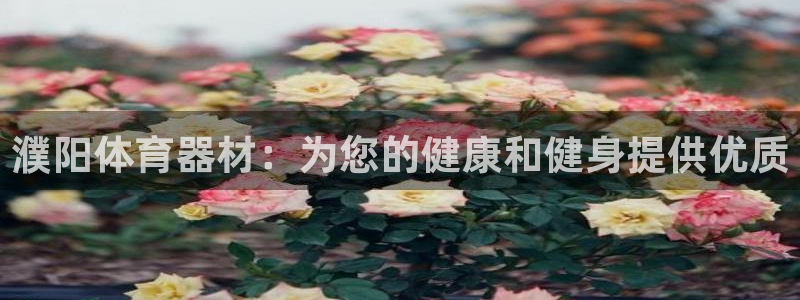 极悦娱乐创始人背景故事介绍：濮阳体育器材：为您的健康