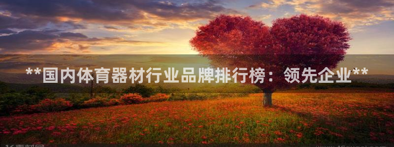 极悦娱乐官网最新版本更新内容下载：**国内体育器材行