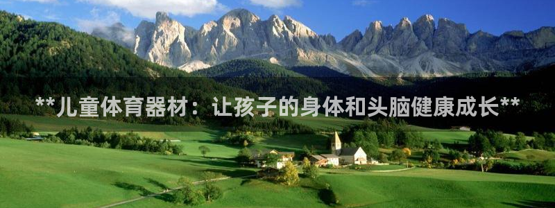 极悦平台客服团队介绍：**儿童体育器材：让孩子的身体