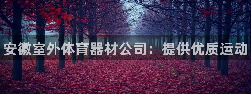 极悦平台平台注册方法与步骤图：安徽室外体育器材公司：