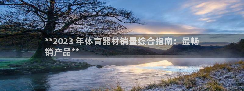 极悦平台有风险吗安全吗：**2023 年体育器材销量