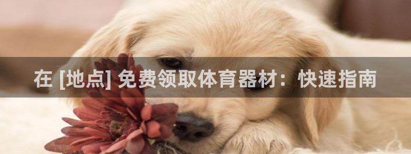 极悦平台使用注意事项：在 [地点] 免费领取体育器材