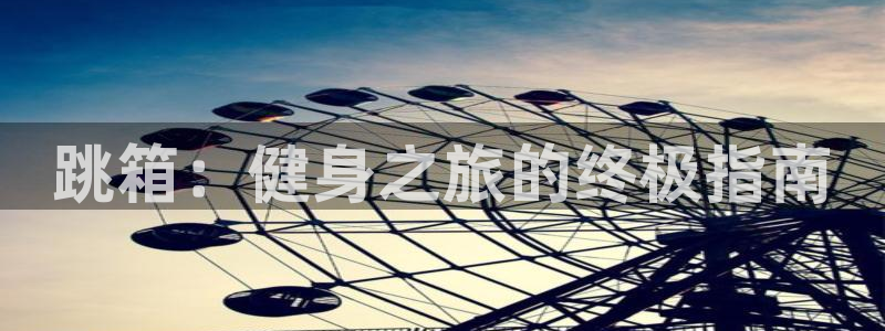 极悦官网首页登录入口网站：跳箱：健身之旅的终极指南