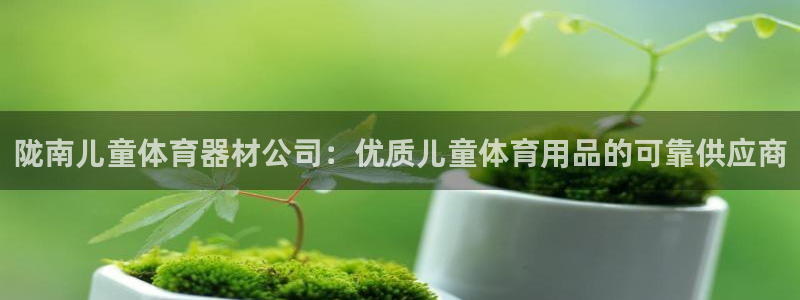 极悦官网入口登录网址：陇南儿童体育器材公司：优质儿童