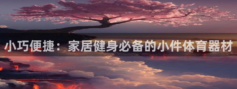 极悦平台官网下载中心：小巧便捷：家居健身必备的小件体