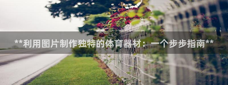 极悦官网旗舰店：**利用图片制作独特的体育器材：一个