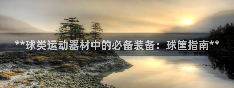 极悦平台登录方式是什么：**球类运动器材中的必备装备