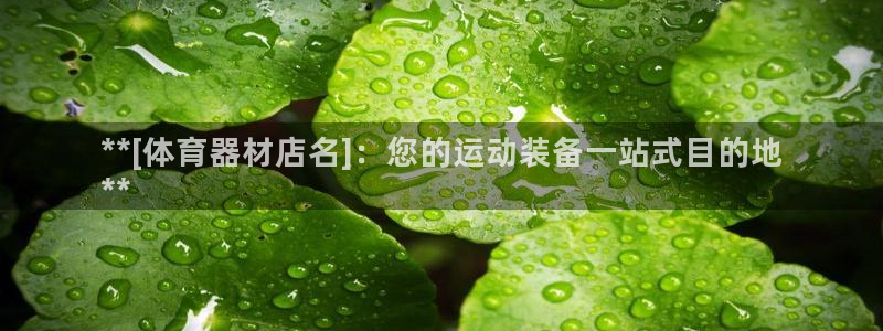 极悦娱乐股东名单：**[体育器材店名]：您的运动装备