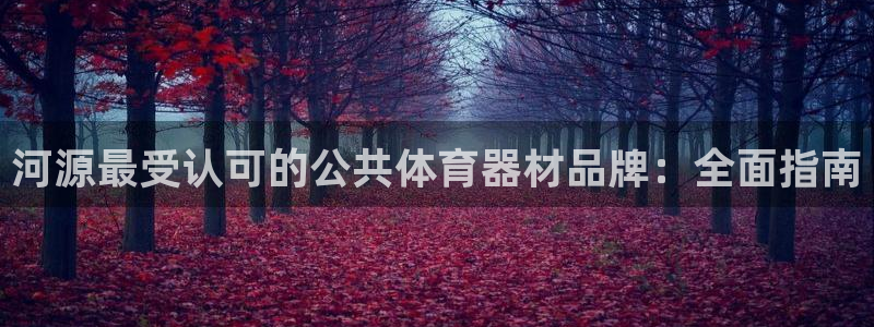 极悦官方网站入口网址大全：河源最受认可的公共体育器材