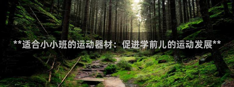 极悦官网入口登录网址：**适合小小班的运动器材：促进