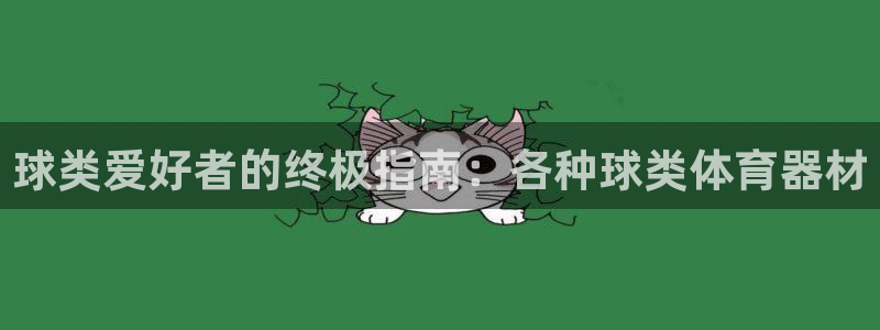 极悦平台是干嘛的公司：球类爱好者的终极指南：各种球类