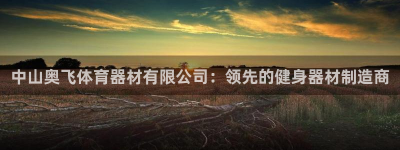 极悦官方网站app下载：中山奥飞体育器材有限公司：领