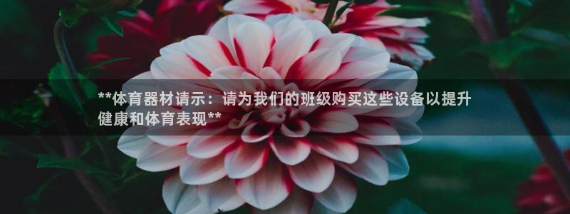 极悦平台：**体育器材请示：请为我们的班级购买这些设