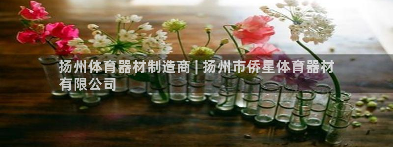 极悦官网登录入口网址：扬州体育器材制造商 | 扬州市
