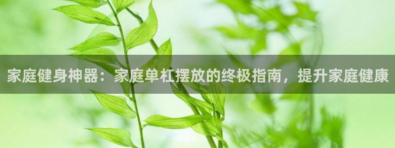 极悦娱乐官网下载：家庭健身神器：家庭单杠摆放的终极指